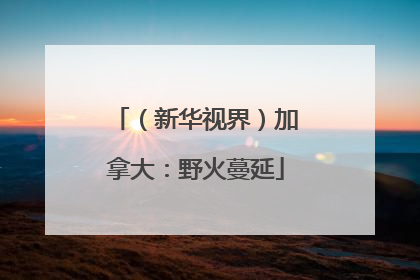 （新华视界）加拿大：野火蔓延