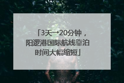 3天→20分钟，阳逻港国际航线靠泊时间大幅缩短