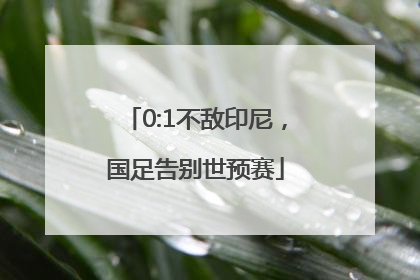 0:1不敌印尼，国足告别世预赛