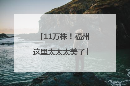 11万株！福州这里太太太美了