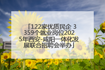 122家优质民企 3359个就业岗位2025年西安-咸阳一体化发展联合招聘会举办