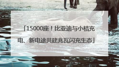 15000座！比亚迪与小桔充电、新电途共建兆瓦闪充生态