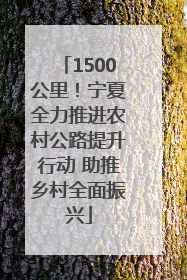 1500公里！宁夏全力推进农村公路提升行动 助推乡村全面振兴