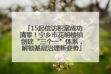 15起信访积案成功清零！宁乡市花明楼镇创建“三个一”体系，解锁基层治理新姿势