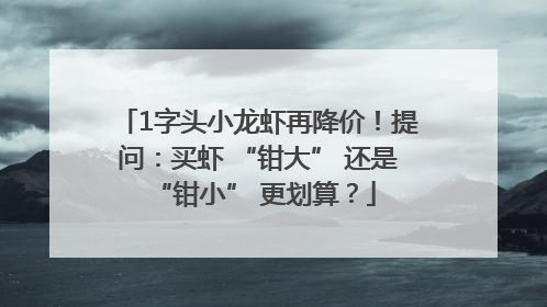1字头小龙虾再降价！提问：买虾 “钳大” 还是 “钳小” 更划算？