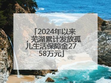 2024年以来，芜湖累计发放孤儿生活保障金2758万元