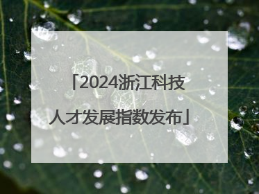 2024浙江科技人才发展指数发布