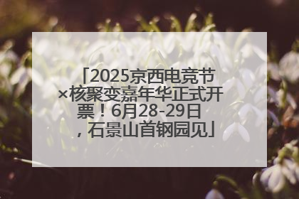 2025京西电竞节×核聚变嘉年华正式开票！6月28-29日，石景山首钢园见