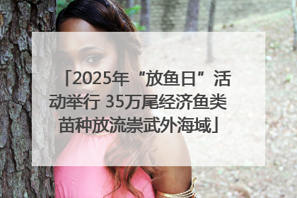 2025年“放鱼日”活动举行 35万尾经济鱼类苗种放流崇武外海域