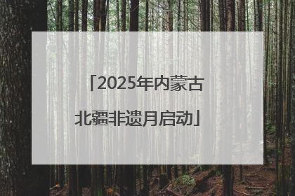 2025年内蒙古北疆非遗月启动