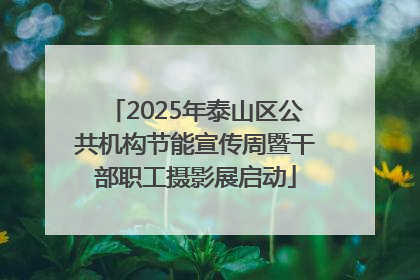 2025年泰山区公共机构节能宣传周暨干部职工摄影展启动