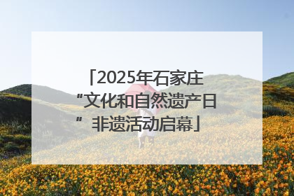 2025年石家庄“文化和自然遗产日”非遗活动启幕