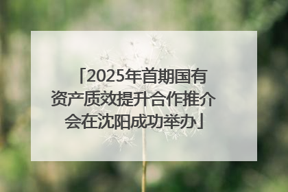 2025年首期国有资产质效提升合作推介会在沈阳成功举办