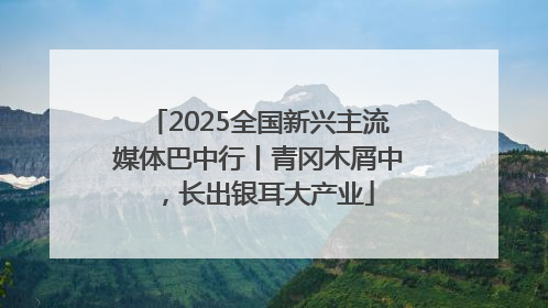 2025全国新兴主流媒体巴中行丨青冈木屑中，长出银耳大产业