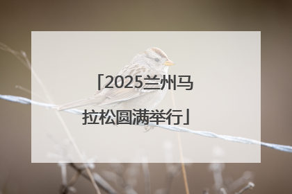 2025兰州马拉松圆满举行