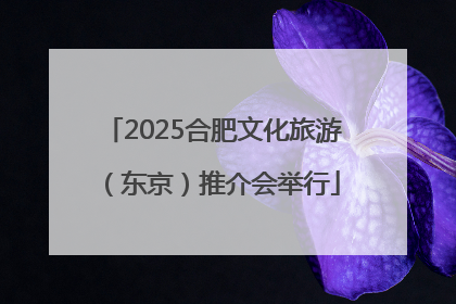 2025合肥文化旅游（东京）推介会举行