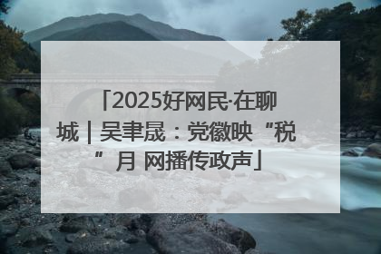 2025好网民·在聊城｜吴聿晟：党徽映“税”月 网播传政声