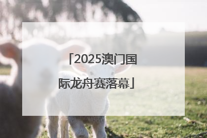2025澳门国际龙舟赛落幕