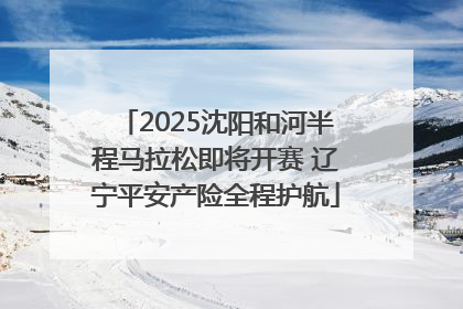 2025沈阳和河半程马拉松即将开赛 辽宁平安产险全程护航