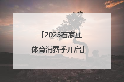 2025石家庄体育消费季开启