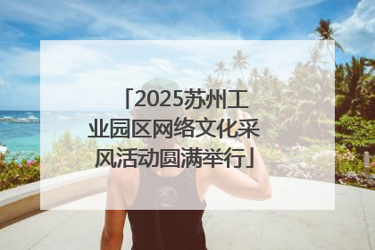 2025苏州工业园区网络文化采风活动圆满举行