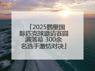 2025鹤壁国际匹克球邀请赛圆满落幕 300余名选手激情对决