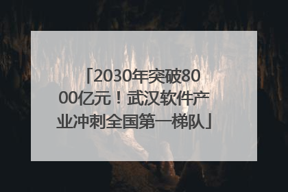 2030年突破8000亿元！武汉软件产业冲刺全国第一梯队