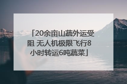 20余亩山蔬外运受阻 无人机极限飞行8小时转运6吨蔬菜