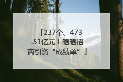 237个、473.51亿元！晒晒招商引资“成绩单”