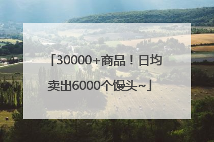 30000+商品！日均卖出6000个馒头~