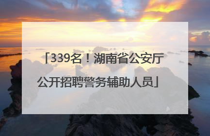 339名！湖南省公安厅公开招聘警务辅助人员