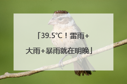 39.5℃！雷雨+大雨+暴雨就在明晚