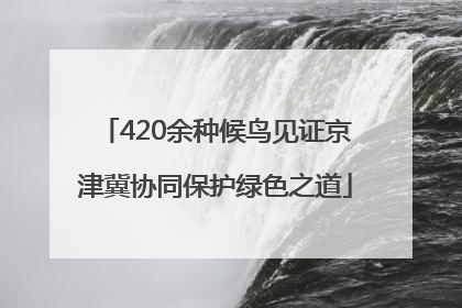 420余种候鸟见证京津冀协同保护绿色之道