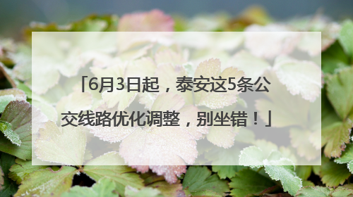 6月3日起，泰安这5条公交线路优化调整，别坐错！