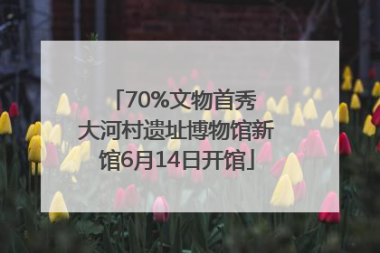 70%文物首秀 大河村遗址博物馆新馆6月14日开馆