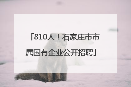 810人！石家庄市市属国有企业公开招聘