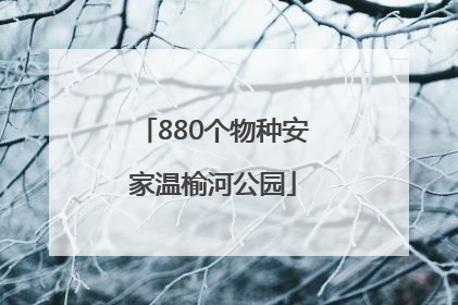 880个物种安家温榆河公园
