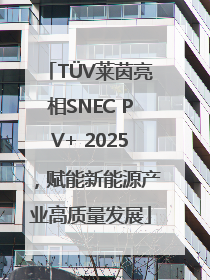 TÜV莱茵亮相SNEC PV+ 2025，赋能新能源产业高质量发展
